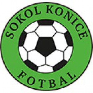 sokol-konice.jpg